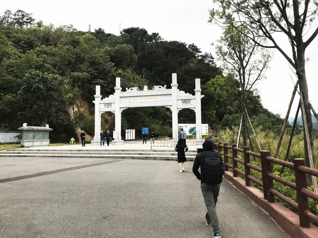 6.gif